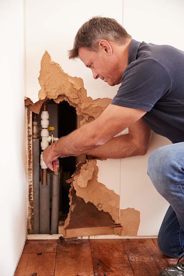 plumber accessing burst pipe exposed through water damaged drywall