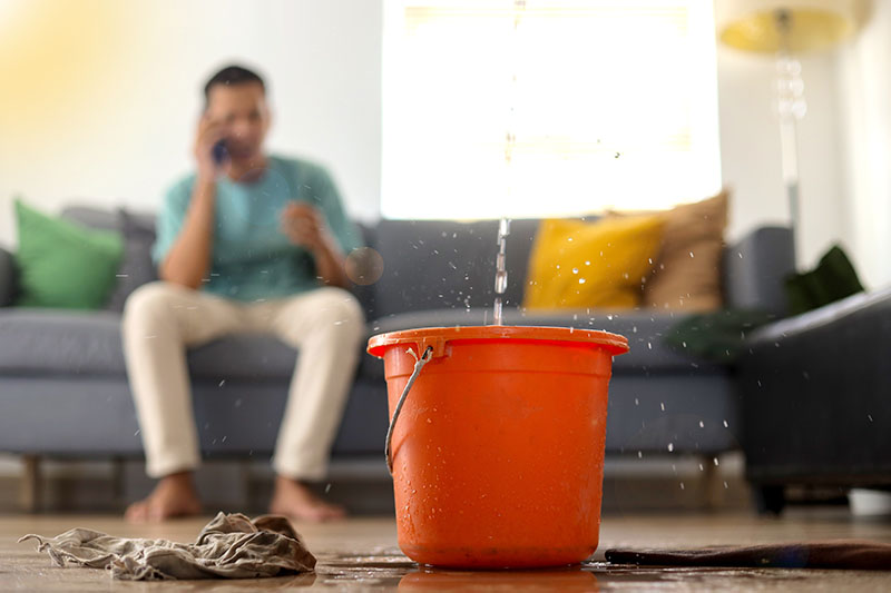 Homeowner Calling Plumber During Ceiling Water Leak homeowner on phone calling plumber while ceiling leak drips into bucket