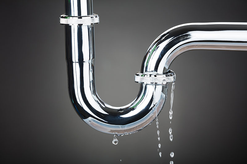 Leaking P-Trap Pipe Fitting Water Leak Source leaking chrome p-trap pipe fitting dripping water